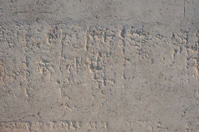 Color Application by Specialist