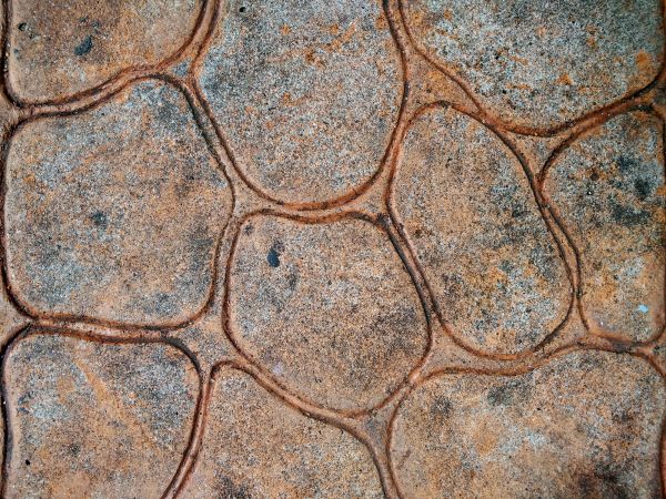 Concrete Stamping in Fort Collins