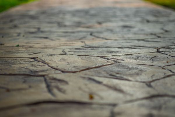 Cost of Textured Concrete Service in Fort Collins